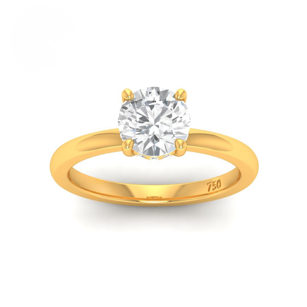 Round Diamond Hidden Halo Engagement Ring AAC00030
